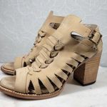 FREEBIRD by Steven Bongo Sandals Womens 10 Taupe Leather Suede Gladiator Strappy Photo 0
