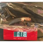 Enfocus Studio Enfocus Women 14W Midi Dress Off Shoulder Floral Dark‎ Romantic Whimsigoth NEW Photo 6