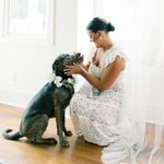 Hill House  White Lace Ellie Nap Dress Photo 4