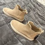 Toms Platform Sneakers Photo 3