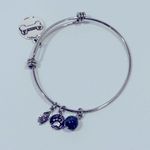 Shine I Love My Dog Silver Tone Stainless Steel Charm Bangle Bracelet Photo 8