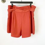 Free Press Paperbag Tie Waist Shorts Photo 4