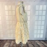 Anthropologie A’Reve vintage ivory blush 3D floral textured dress size large Photo 2