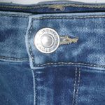 American Eagle Super Stretch 16 35 Short Jeans Shorts Plus Photo 6