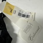 Cabernet Semi Photo 2