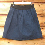 Wilfred Aritzia  Blue  Mini Skirt Photo 0