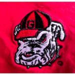 Champion Vintage  Georgia Bulldogs T Shirt Large Red Short Sleeves Embroi… Photo 2