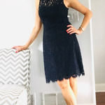 Eliza J Beautiful  lace dress Photo 0
