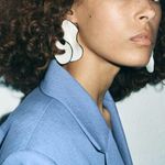 ZARA  resin fan earrings Photo 0