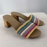 J.Crew J. Crew Woven Mule Block Heels in Rainbow Raffia Multi Size 7.5 Photo 1