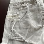 PacSun Vintage High Waisted Shorts Photo 2