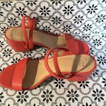 A New Day Coral heals‎ Photo 2