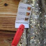 Mac Duggal 5687 SEQUINED ONE SHOULDER DRAPED LACE UP GOWN NWT Nude Silver 4 Photo 11