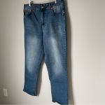 Frye Women's Straight Leg Blue Jeans Size 10/30 Photo 2