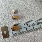 Lulus Tortoise shell circle stud earrings Photo 1