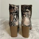 Pierre Dumas Women’s Snakeskin Mid Calf Boots Block Heel 8.5 Photo 2