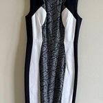 Classiques Entier NEW Lace Color Block Sheath Dress Sleeveless Womens Si… Photo 0