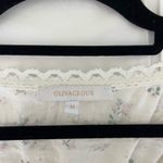 Olivaceous  Top Photo 2