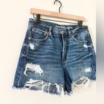 American Eagle  90s Boyfriend Shorts in Raw Hem Distressed Medium Wash - Size 6 Photo 1