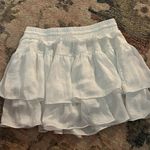 Vestique Skirt Photo 2