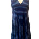 Peter Som  Blue Striped Swing Knit Dress - Size 12 Sleeveless Summer Casual Photo 1