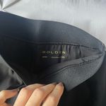 Aritzia  skirt Photo 3