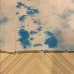 Prince Peter White & Blue Cropped Ripped T Photo 5