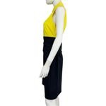 Akris Punto AKRIS Sleeveless Colorblock Dress Size 8 Photo 1