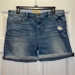 Anthropologie Anthro Holding Horses Gable boyfriend shorts Photo 2