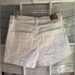American Eagle  Outfitters Strigid Relaxed White Shorts Photo 2