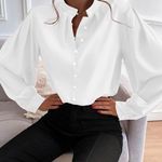 SheIn French Bishop Sleeve Blouse Photo 2