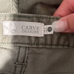 Carve Designs Carve‎ designs shorts . Size 10 Photo 4