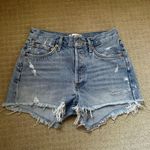 AGOLDE Parker Shorts In Swapmeet Photo 0