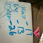 CAbi  Women’s 10 Brown Paper Bag Cargo Pants New Photo 3