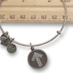 ALEX AND ANI  Stand Up To Cancer Silver Charm Bangle Photo 2