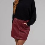 TUCKERNUCK BURGUNDY/WINE/OX BLOOD MAROON FAUX LEATHER MINI SKIRT SZ MEDIUM Red Photo 3