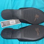 Charles Albert  slides Photo 3