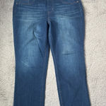 kim rogers  Pull On-Straight Jeans SIZE 14S Photo 0