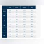 The Limited  Chino shorts 5 inch inseam Photo 8