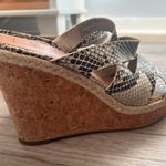 14th & Union Snake Skin Summer Wedge Photo 0