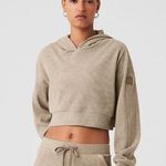 Alo Yoga  Sz L Muse Ribbed Hoodie Cropped Sweatshirt Gravel Tan Photo 0