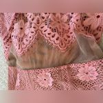 For Love & Lemons Revolve lace pink illusion dress size Small Photo 4