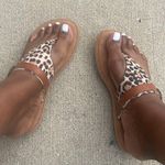 B.O.C. Sandal Mya Womens Animal Print Thong Flat New Sz 9M Photo 5