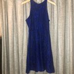 Townsen NWT  Blue Lace Mini Dress Photo 1