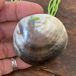 None Beautiful shell and green seed bead necklace Photo 3