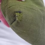 Paint the Lily Tapestry Fabric Bag Regency Retro Costume Renaissance‎ Festival Green Photo 4