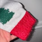 Gnome sweater Blizzard Bay knit Christmas tree decoration Pom Pom Green Photo 4