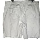 Time And Tru  High Rise Distressed‎ Denim Shorts Photo 3
