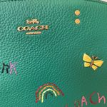 Coach Mini Lillie Carryall With Diary Embroidery C8364 Photo 4