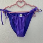 Wild Fable Target Purple Bikini Bottoms Photo 0